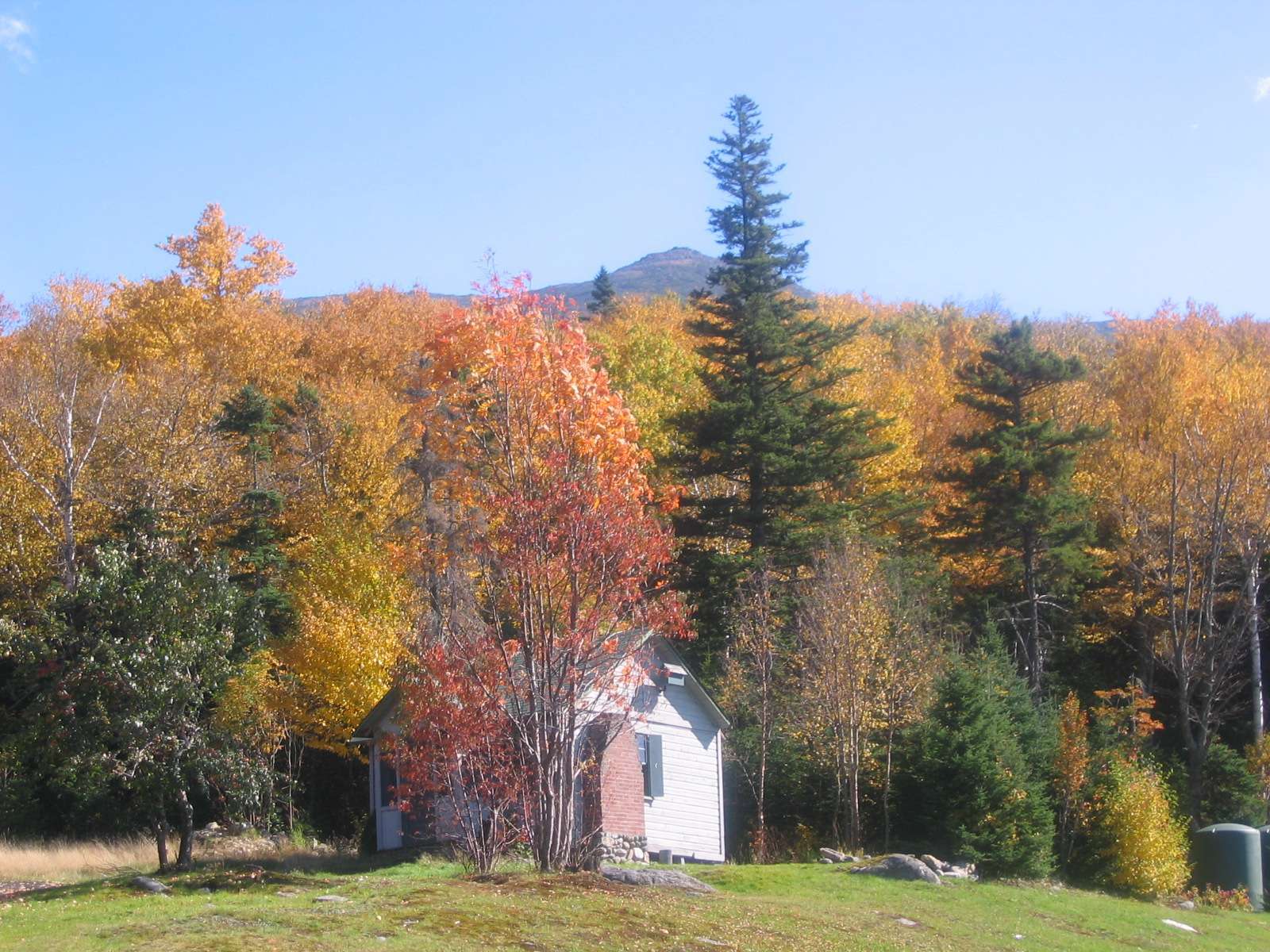 Indian Summer