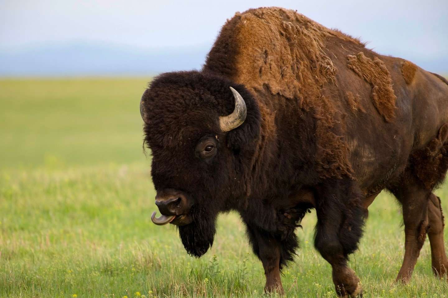 South Dakota