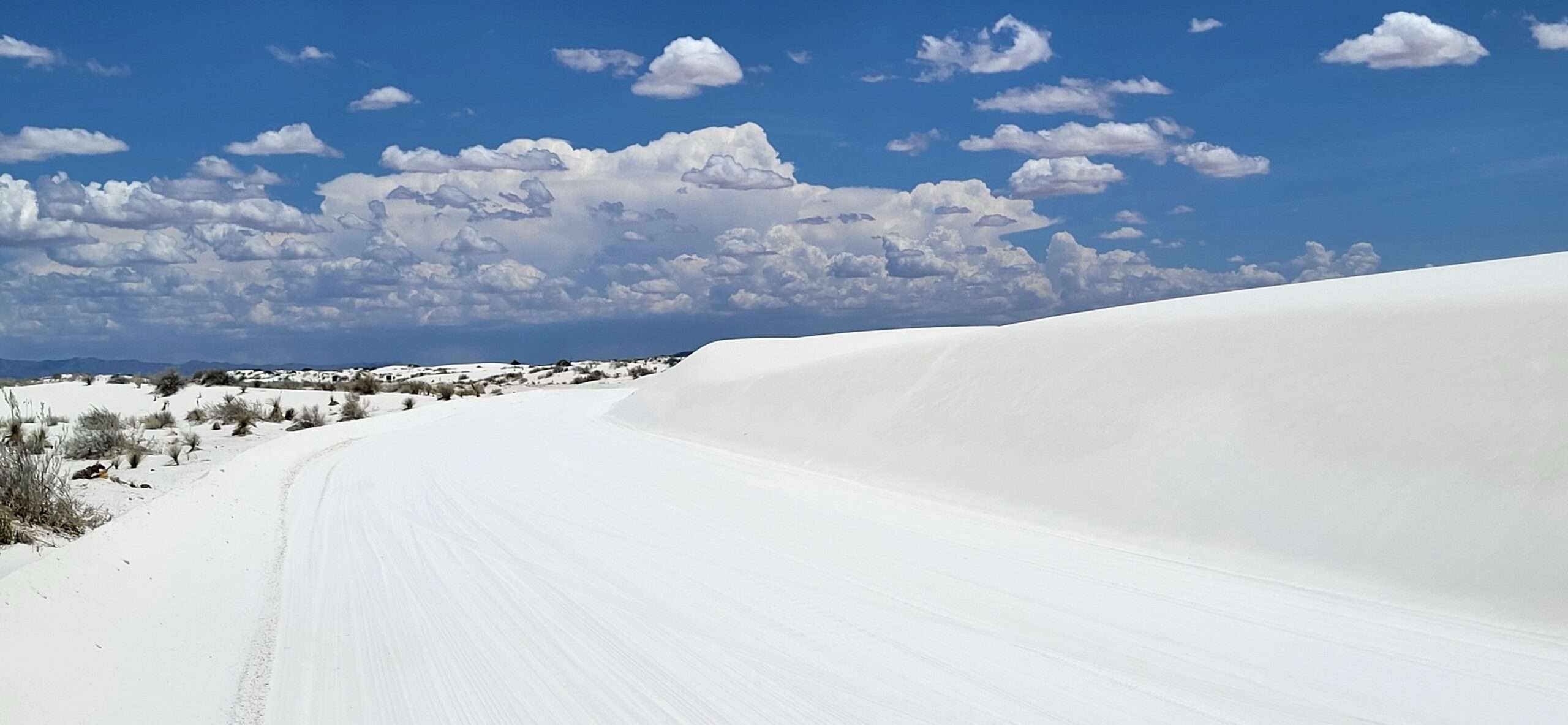 Wie eine Winterlandschaft schaut die White Sands Wüste aus. Schneeweißer Sand soweit das Auge reicht