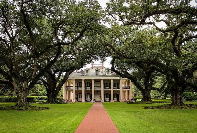 Oak Alley Plantage Großes historisches Herrenhaus im viktorianischen Stil, umgeben von jahrhundertealten Eichen in einem gepflegten Garten, typische Südstaaten-Architektur in den USA.