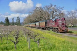 Lassen Sie sich im Napa Valley Wine Train verwöhnen