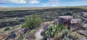 Valley of Fires Ein Ausblick auf das Lavafeld des Valley of Fires