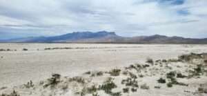 Bassin Sand Dunes Das Die Bassin Sand Dunes in Texas