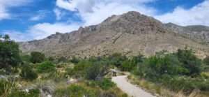 Guadalupe NP Ein schöner Spaziergang im Gudalupe Mountain NP