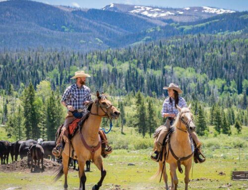 URLAUB AUF DER RANCH