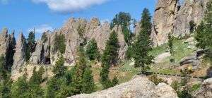 TGAR Schroffe Felsnadeln zeichen den Needles Highway aus