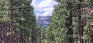 TGAR Der erste Blick auf Mount Rushmore