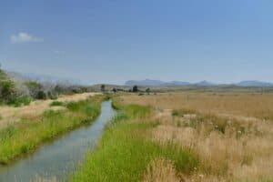 Rand Creek Ranch Ein kleiner Fluus durch eine Wiese