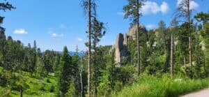 Ferlsen und Wald