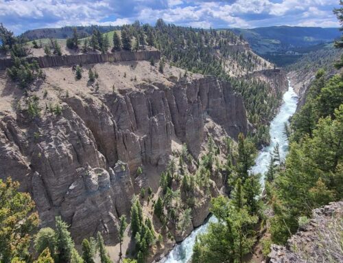 Vom Yellowstone NP nach San Francisco