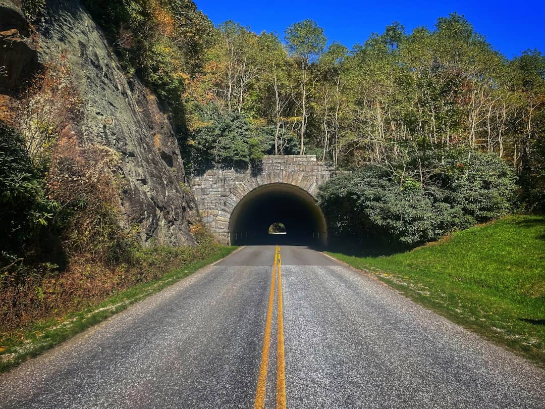 Photo by Alex Smith a road going into a tunnel in the middle of a forest