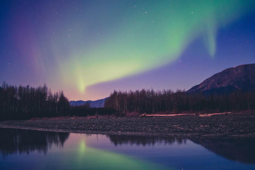 Photo by McKayla Crump northern lights