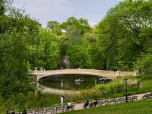 A beautiful arched bridge is over the water.