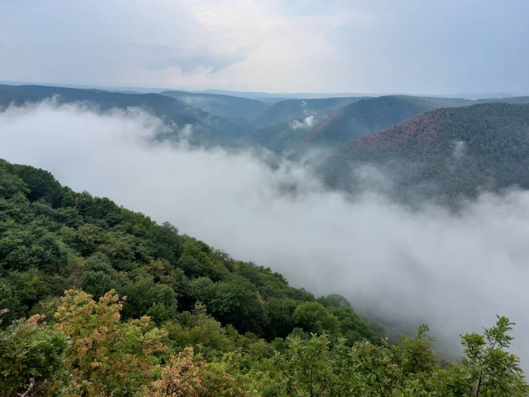 Photo by Krisztián Halmágyi a foggy valley with trees and mountains