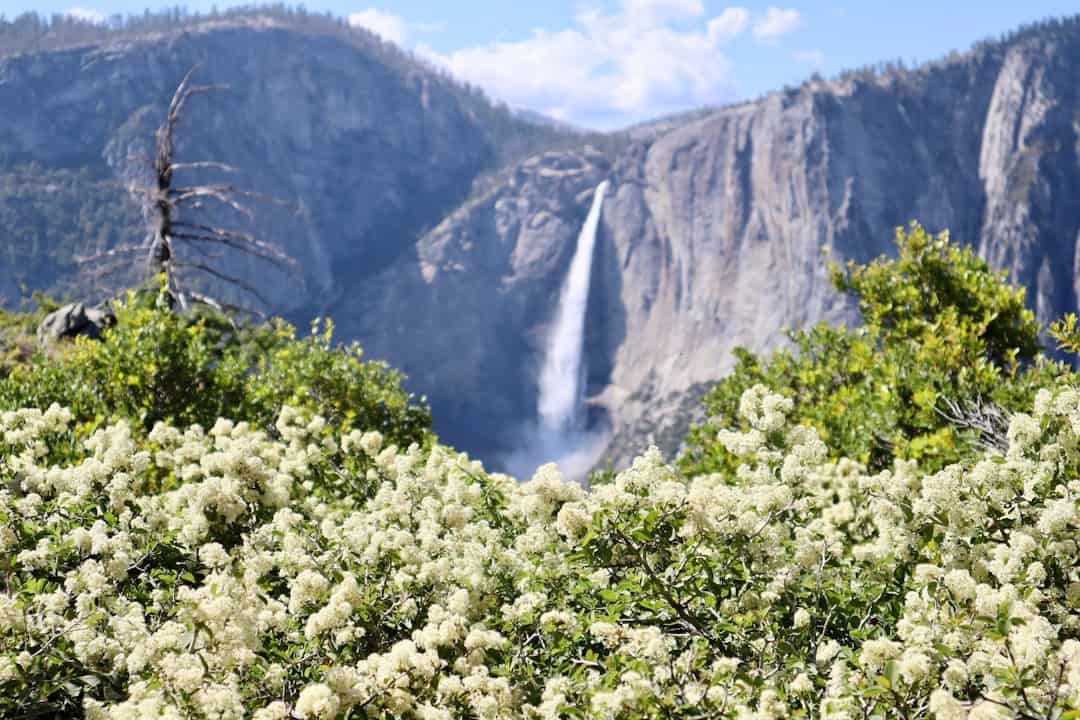 auf der West Coat und Nationalparks tour ist auch der Yosemite dabei