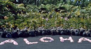 ein schriftzug aus blumen am strand