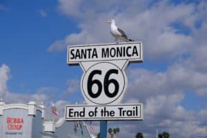 a bird sits on top of a street sign