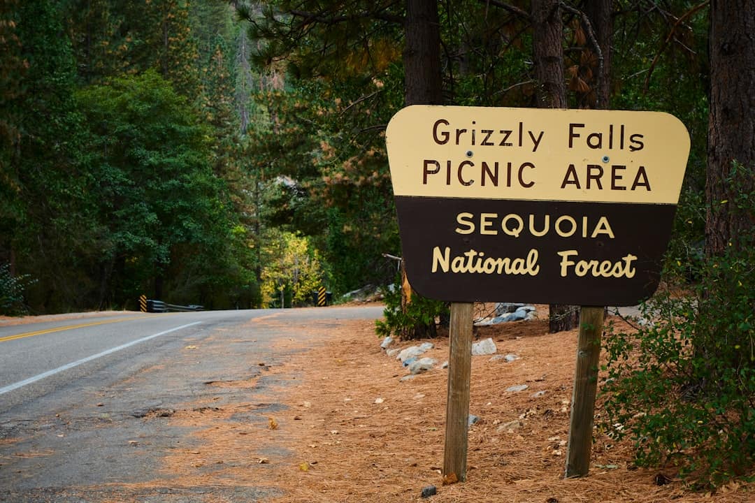 Photo by Riccardo Tuninato a sign on the side of a road