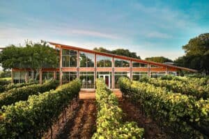 Eine Weinregion in texas