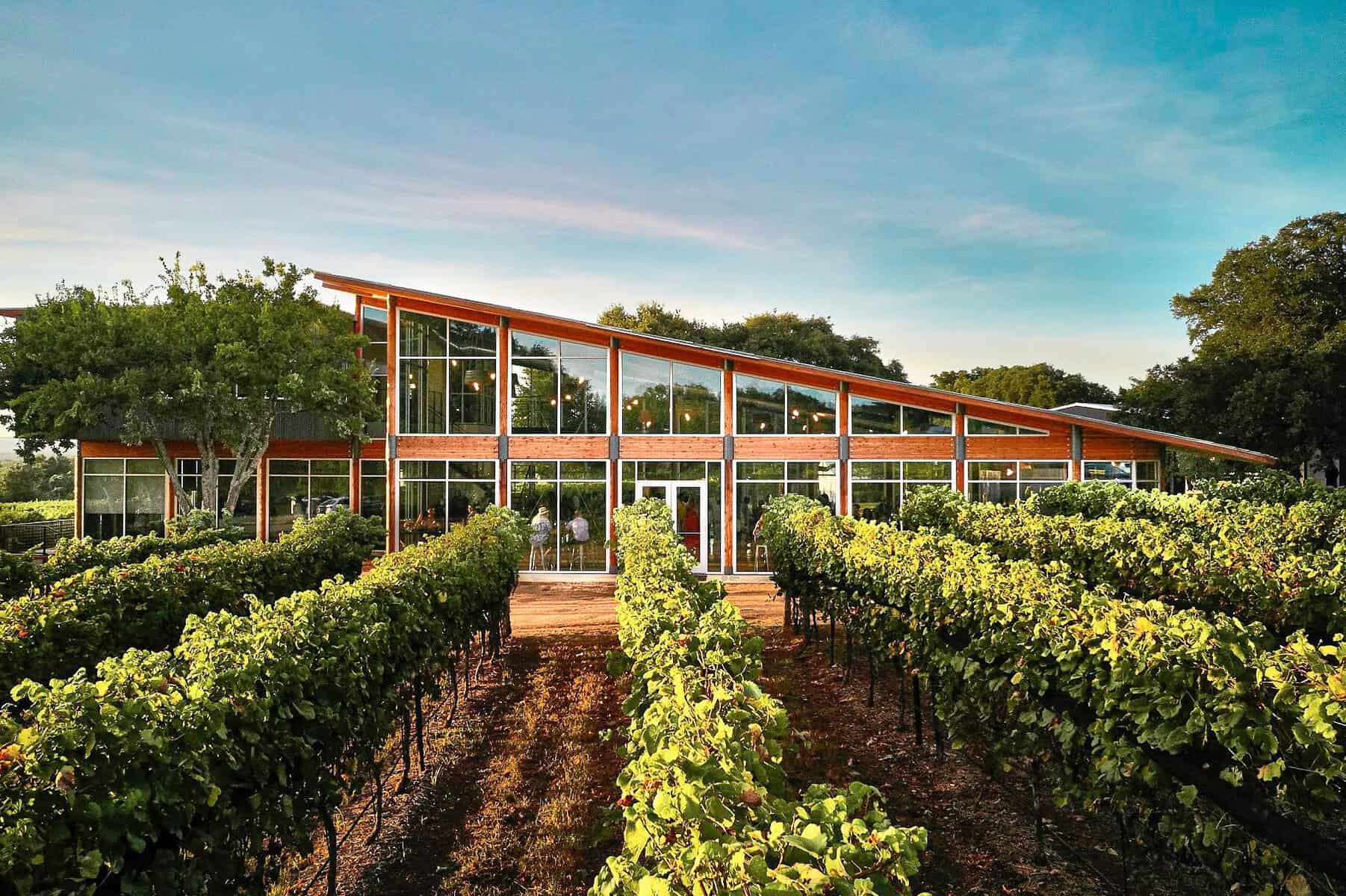 Eine Weinregion in texas