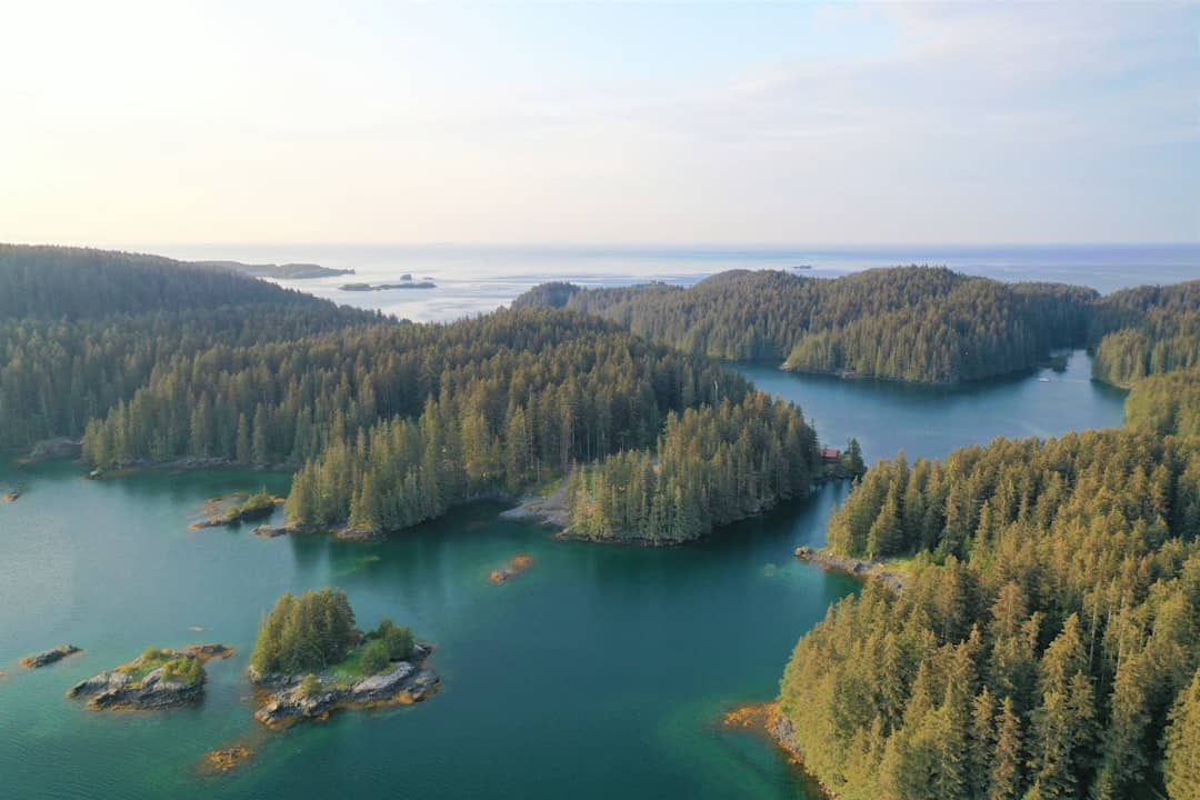 Photo by Joshua Dixon green lake surrounded by green trees during daytime