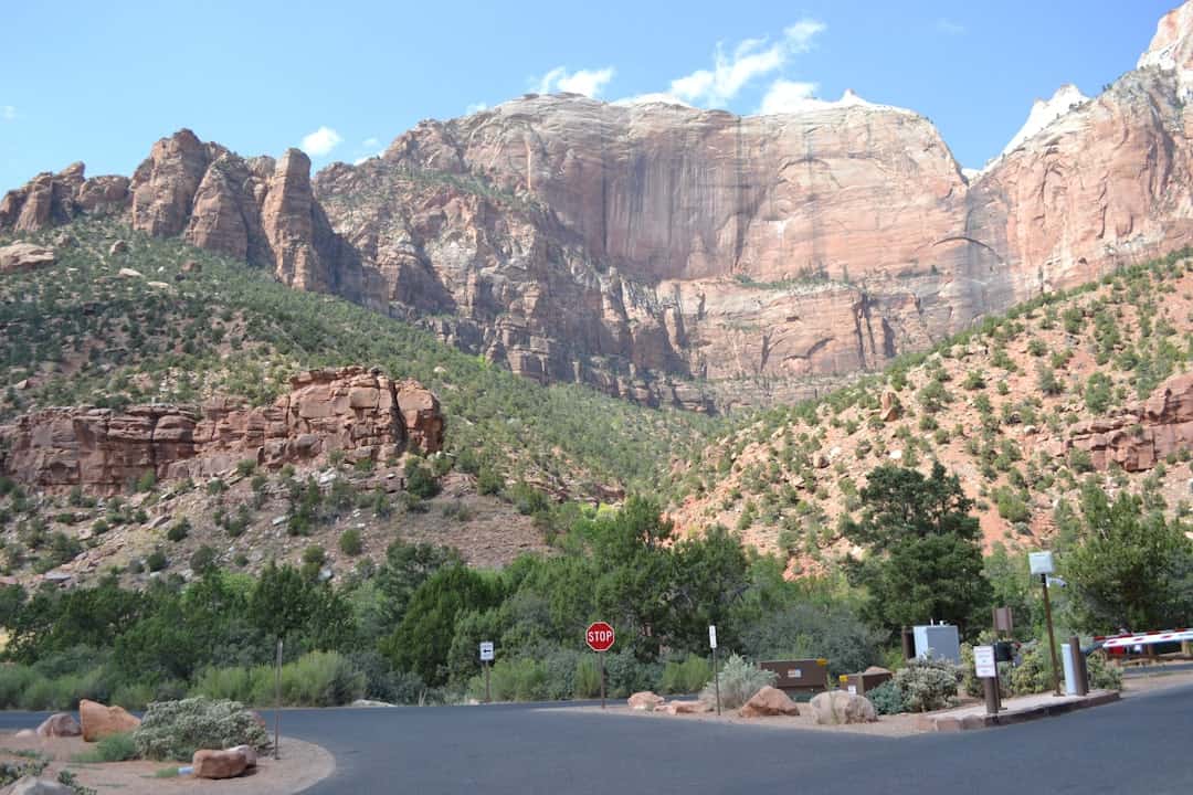 people walking on road near trees and mountain during daytime