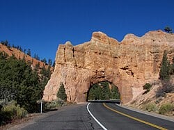 RedCanyonScenicByWay Tunnel durch einen roten felsen