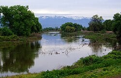ein flussdim grüner löandschaft
