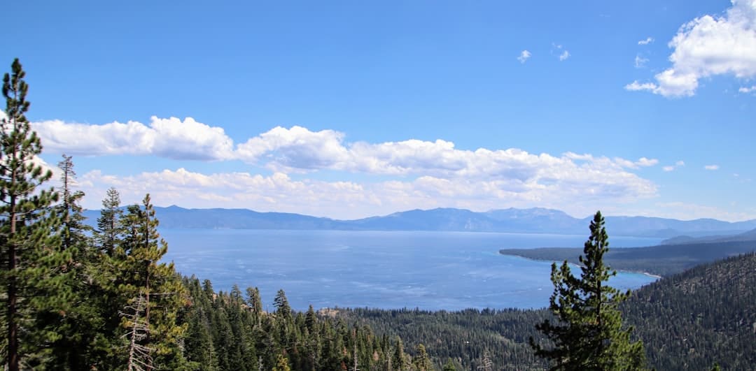 a body of water surrounded by trees