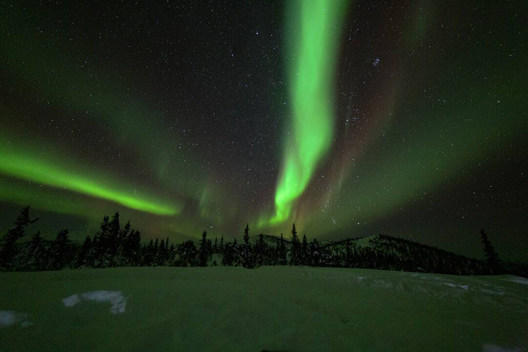 Photo by Austin Human green aurora lights during night time