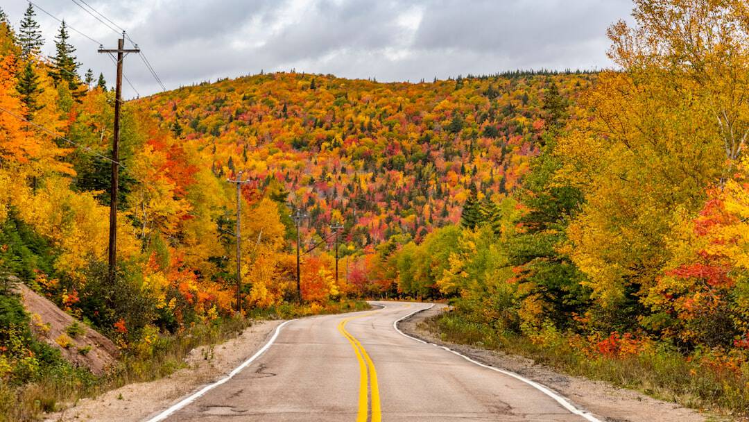 Photo by Thomas Lipke an empty road surrounded by trees with fall colors