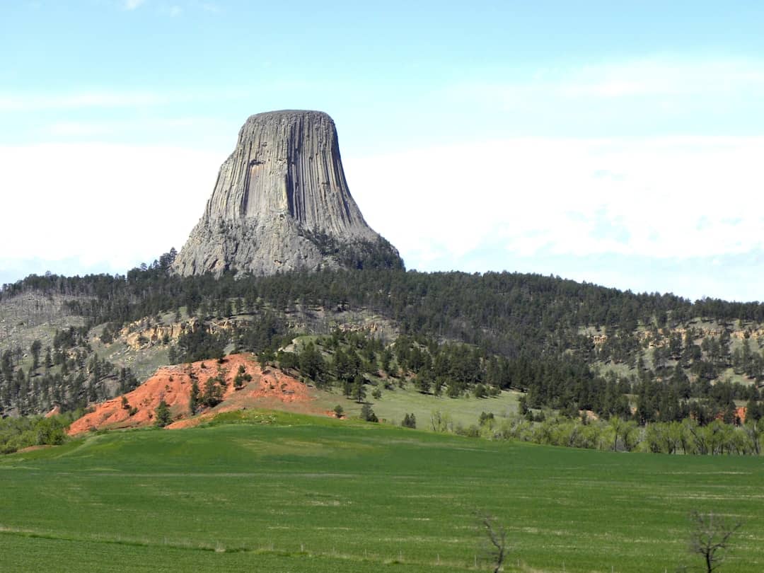 Photo by NOAA green grass field near brown mountain under blue sky during daytime