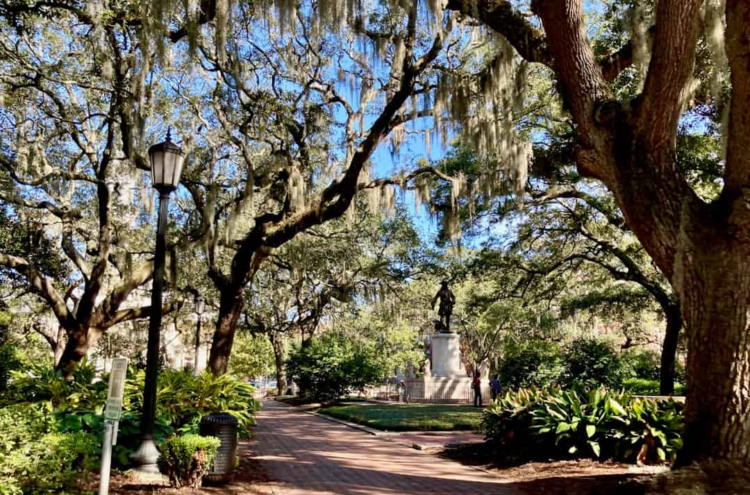 Photo by Tomas Martinez a park with trees, benches, and a light pole