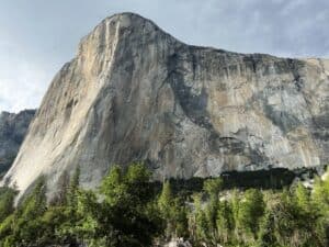 a large mountain towering over a forest filled with trees