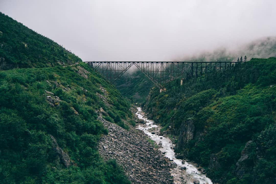 Photo by Sandra Seitamaa gray concrete bridge over river