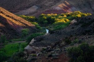 Capitol Reef Nationalpark auf einer Rundreise durch Utah