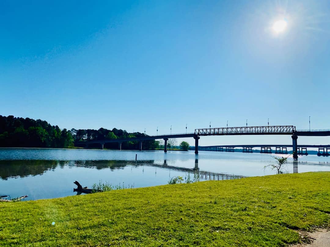 Photo by David Samuel Levinson green grass field near body of water under blue sky during daytime