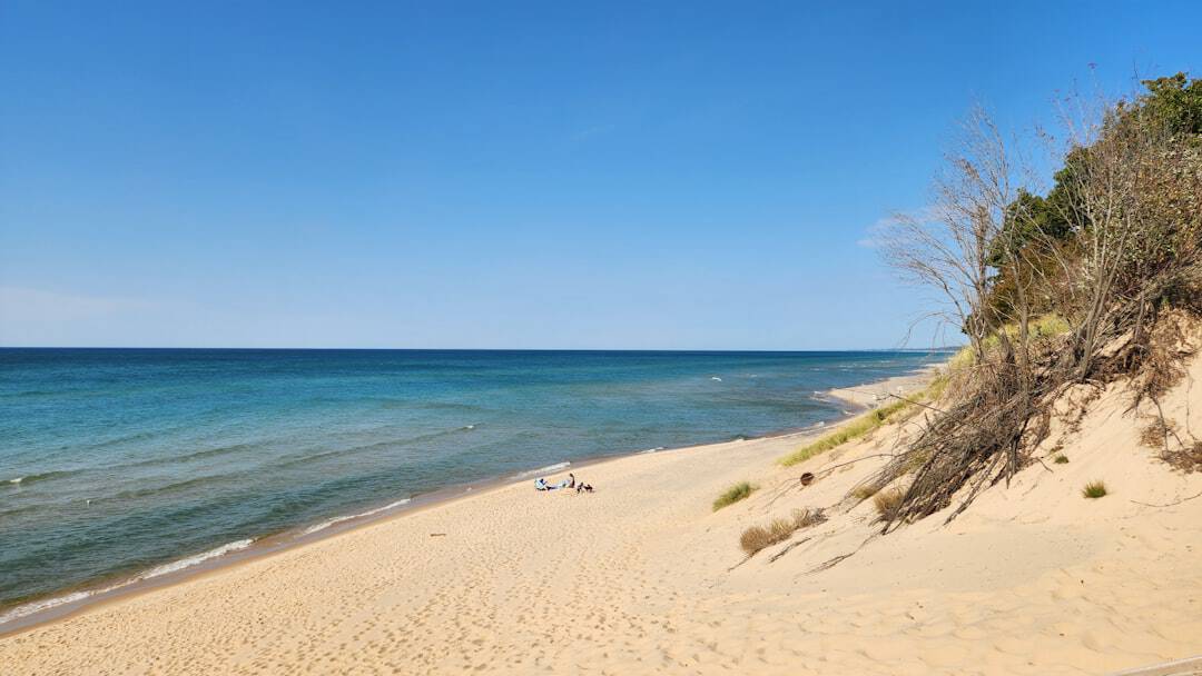 A sandy beach with blue water and trees