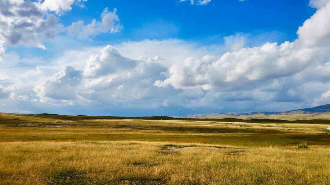 Weite Landschaft am Platte River bei North Platte in Nebraska